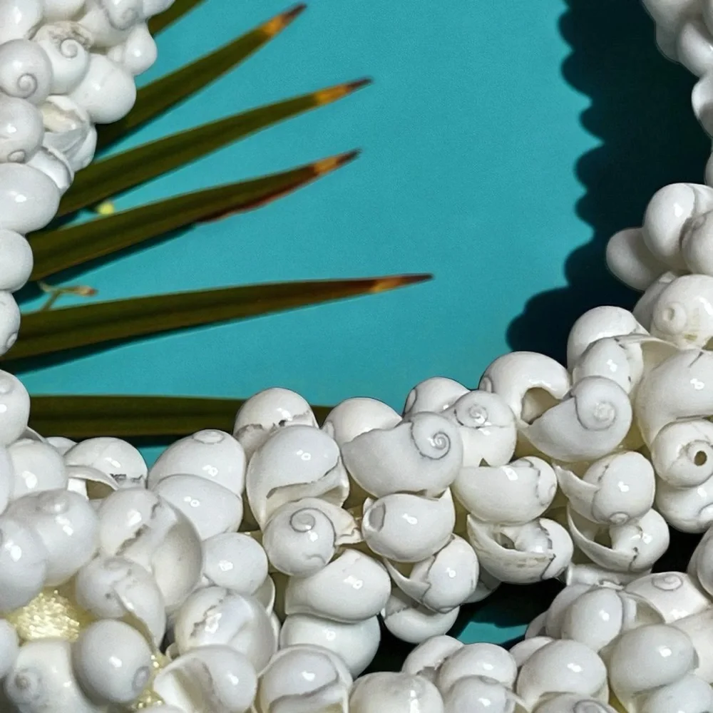 Hawaiian Mongo Sea Shell Lei White with Kukui Nut Necklace - Picture 4 of 4
